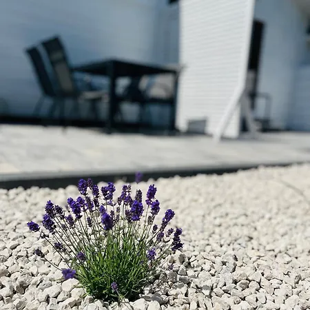 Semesterbostad Mayami